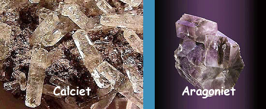 calciet_aragoniet