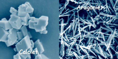 calcite-aragonite